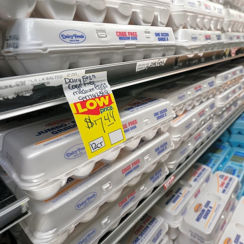 Judge tosses Trump challenge to Michigan's cage-free egg law
