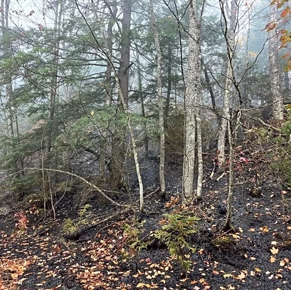 Firefighters make progress against U.P. blazes. What's happening now