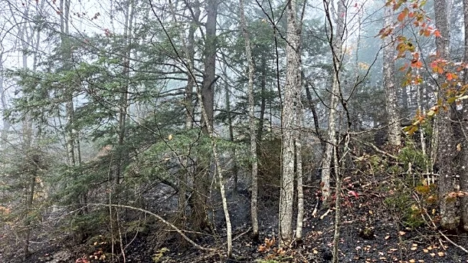 Firefighters make progress against U.P. blazes. What's happening now