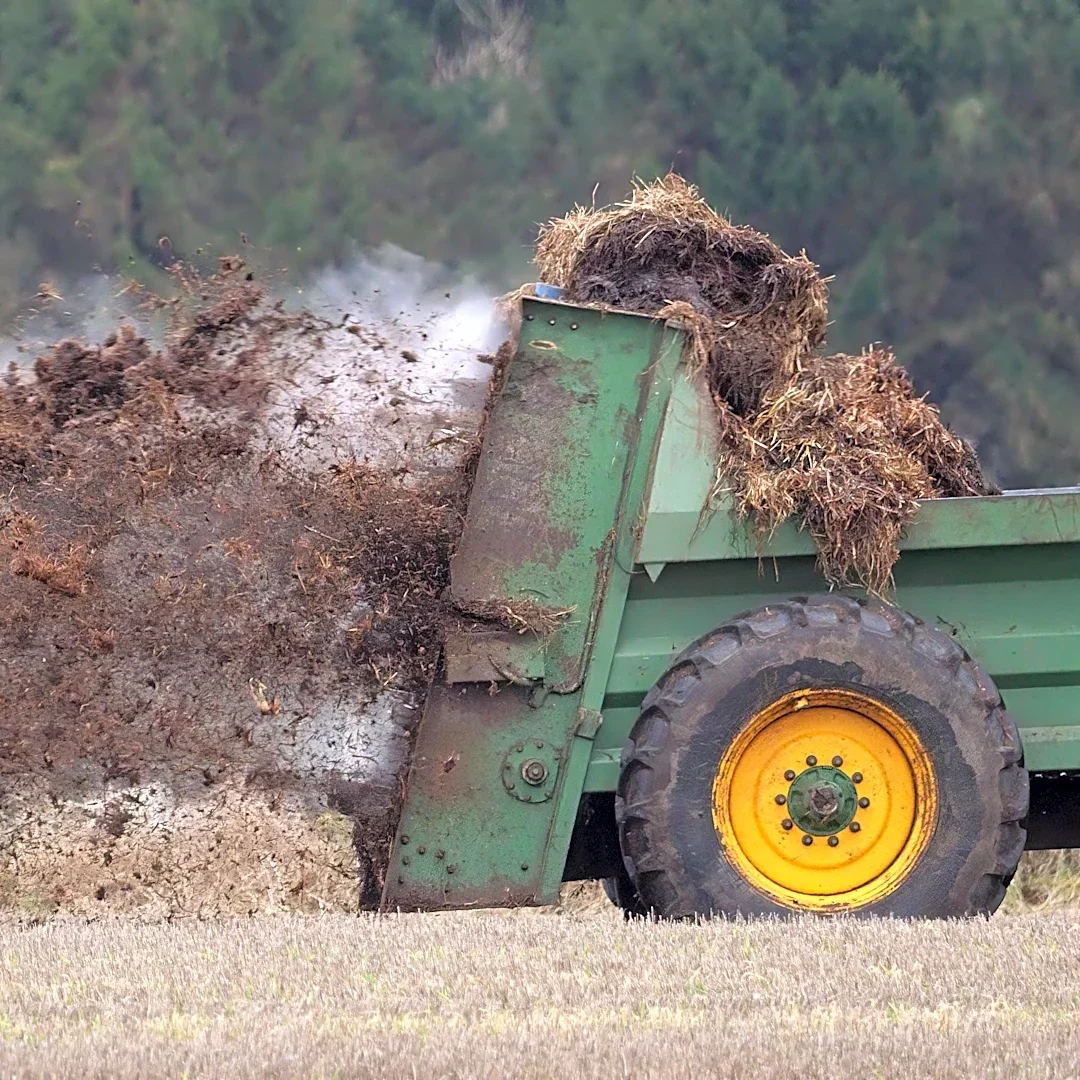 Poop patrol from outer space: Satellites spot winter manure spreading