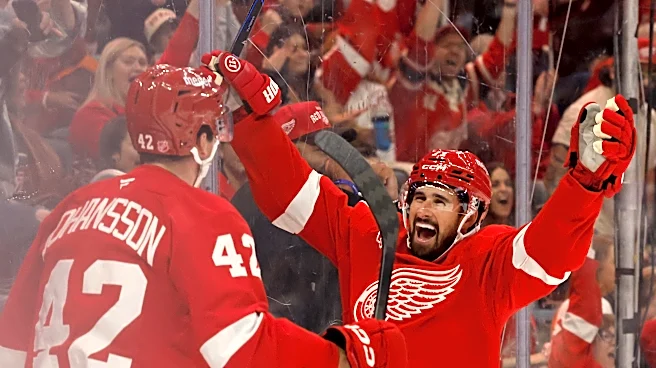 Daniil Tarasov, Anton Johansson key to Detroit Red Wings' point streak