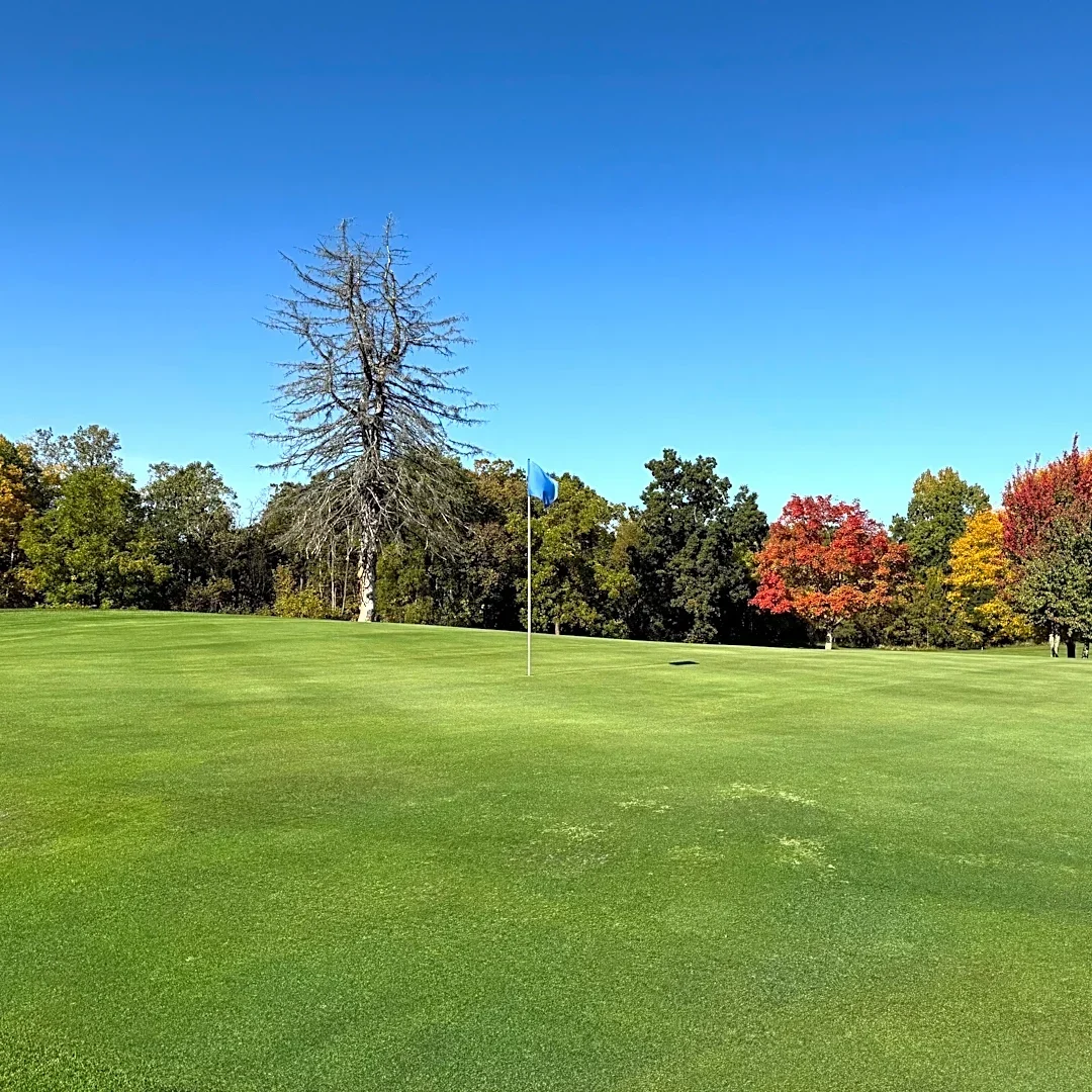 I played 5 Michigan golf courses for 1st time in 2026. How each looked