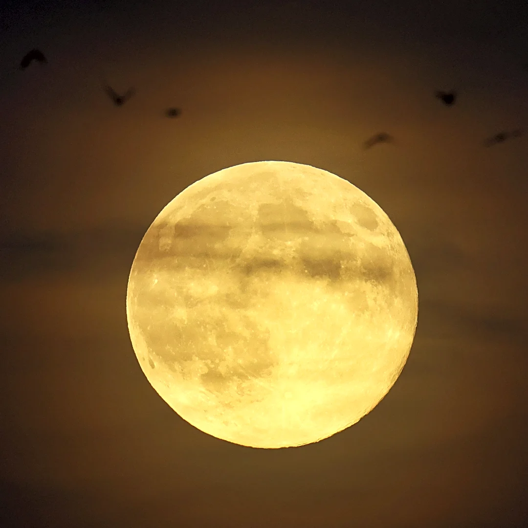 Is next full moon coming on Halloween? See timeline