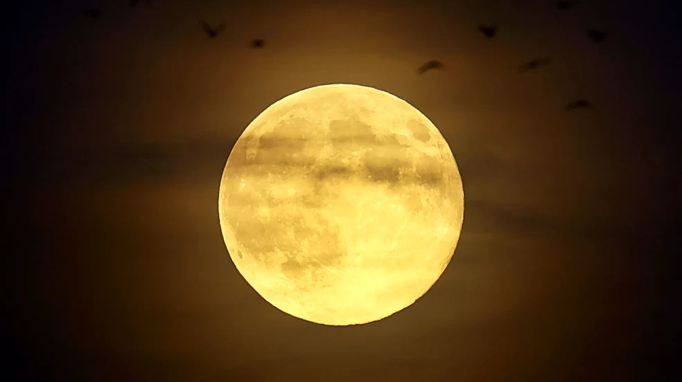 Is next full moon coming on Halloween? See timeline