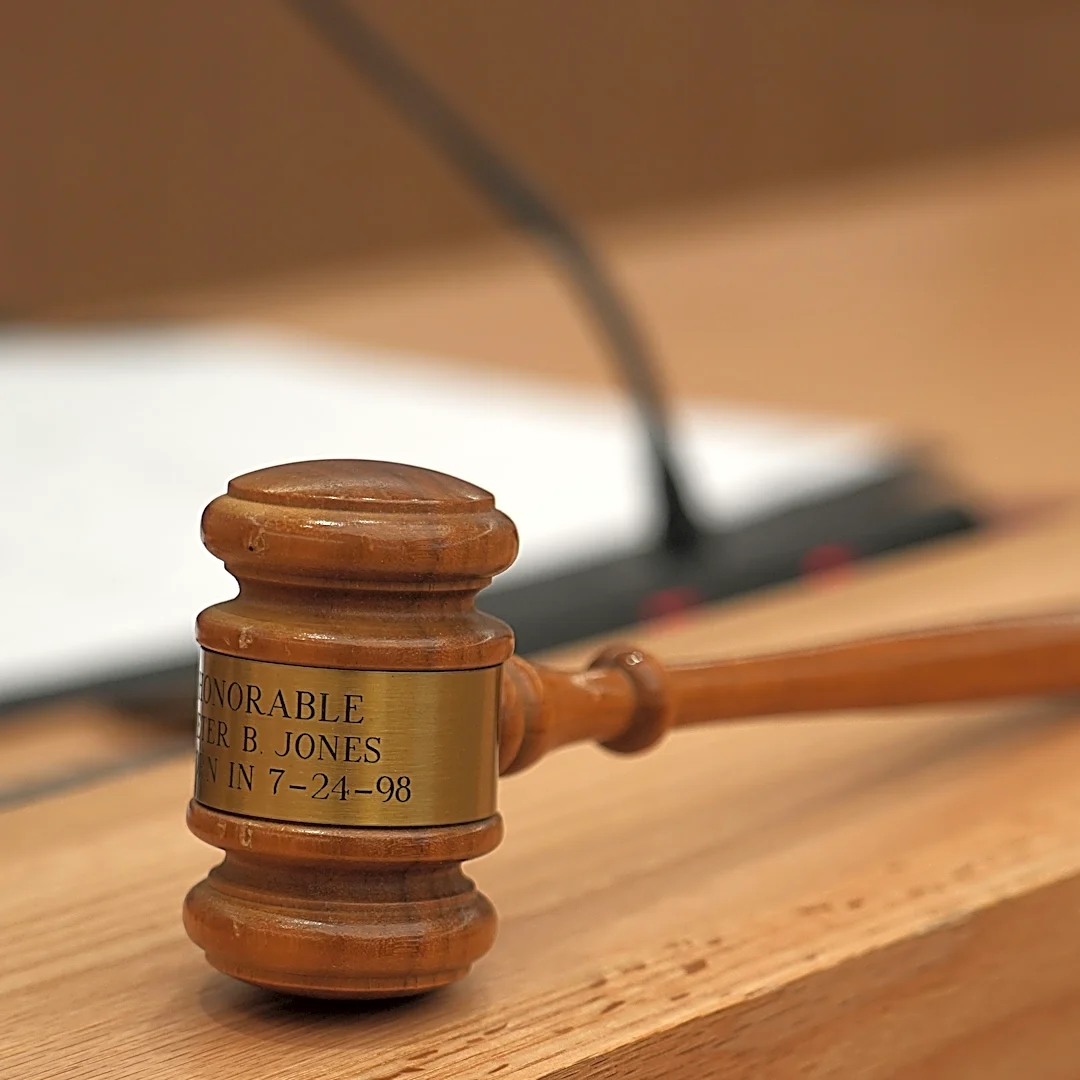 Leelanau man charged after allegedly destroying wetlands