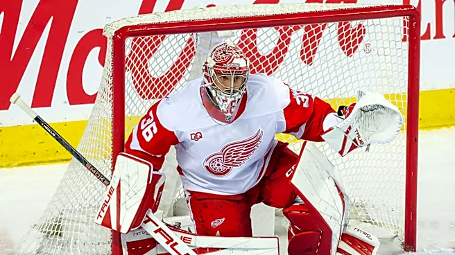 Detroit Red Wings play with fire, scorched by Flames in 2nd period
