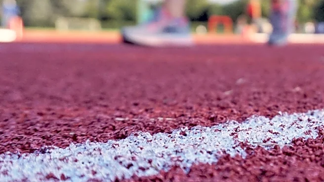 Vote for the Detroit Free Press Girls Athlete of the Week