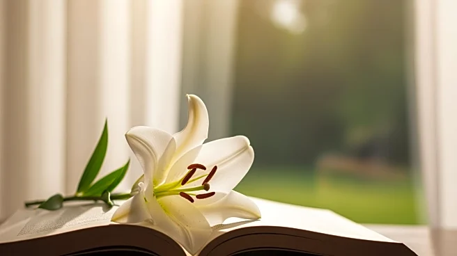 Audrey Hepburn: A Humanitarian Legacy