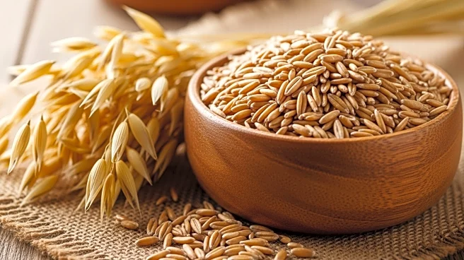 The Versatile Uses of Oats in Culinary and Agriculture