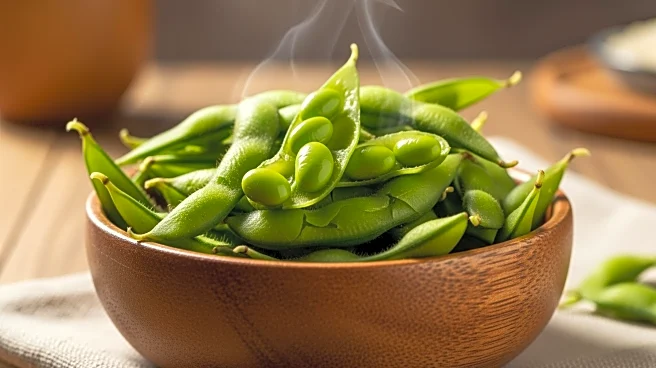 Edamame: A Culinary Journey from East Asia to the World