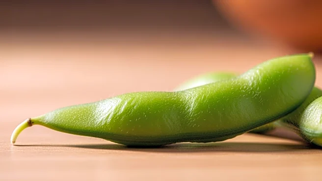 The Nutritional Benefits of Edamame