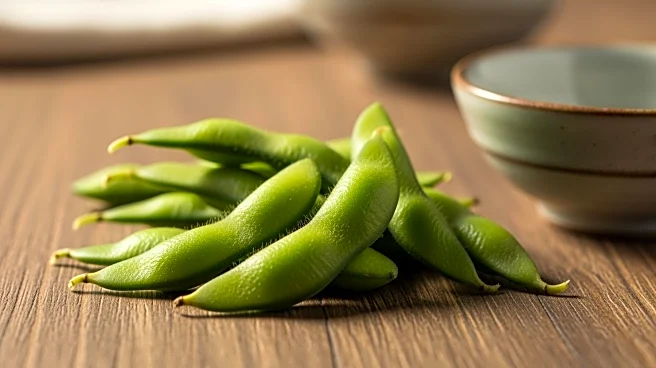 The Cultural Significance of Edamame in East Asia