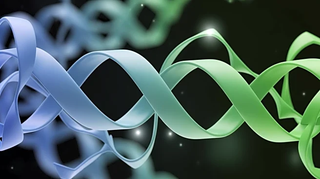 Exploring the Forces Behind Protein Folding