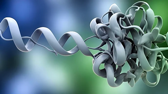 The Process of Protein Folding: From Linear Chains to Functional Structures