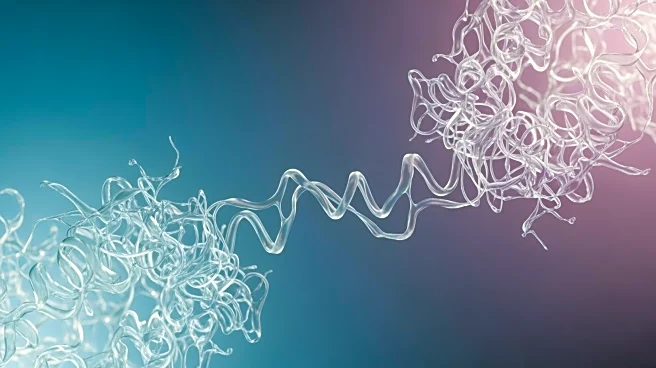 The Impact of Protein Misfolding on Human Health