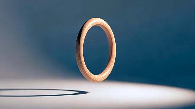 The Art and Science of Calisthenics