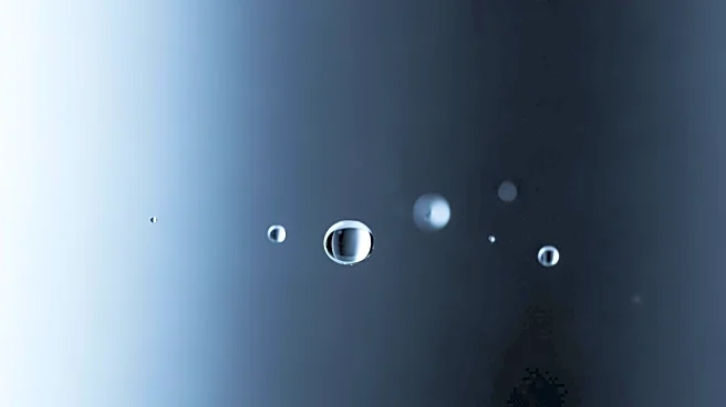 Understanding Influenza Transmission