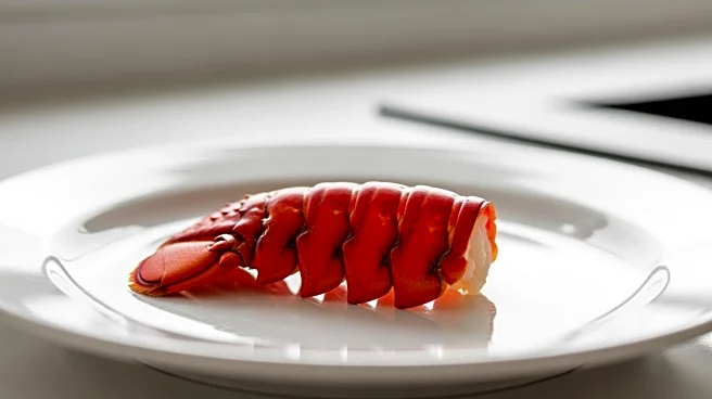 Lobster Allergies: Understanding the Risks and Precautions