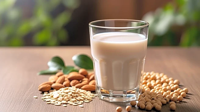 The Rise of Plant Milk: A Modern Alternative