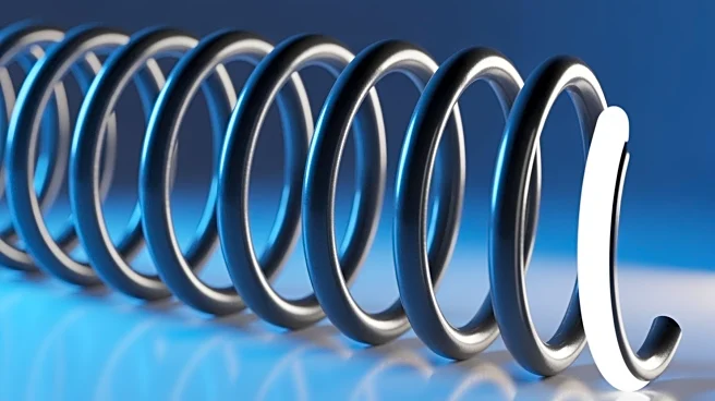 The Science Behind Plyometrics: Understanding the Stretch-Shortening Cycle