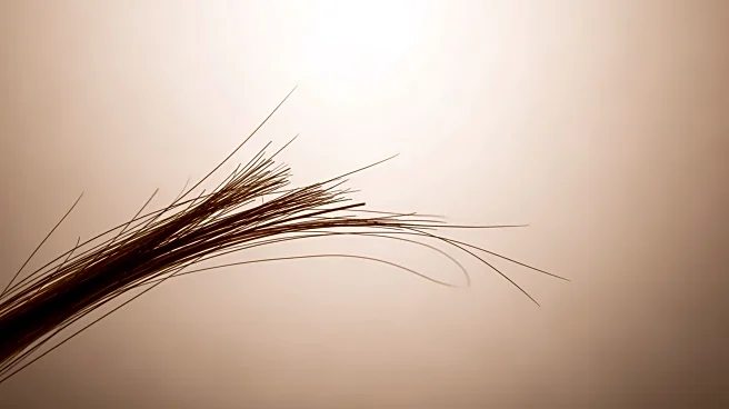 Why Split Ends Happen and How to Stop Them