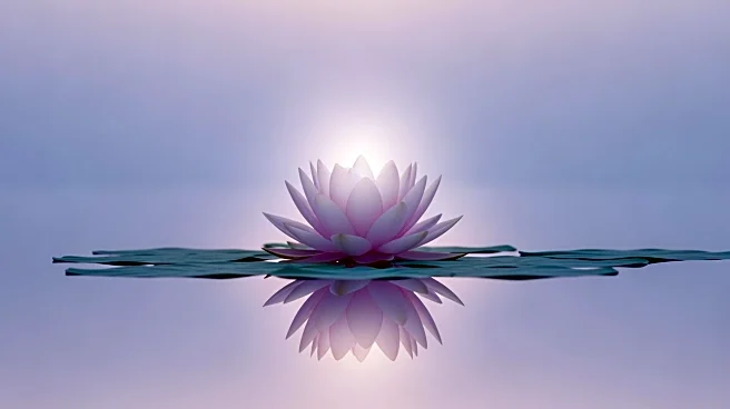 It’s Not Just Repeating a Mantra: What Sets Transcendental Meditation Apart