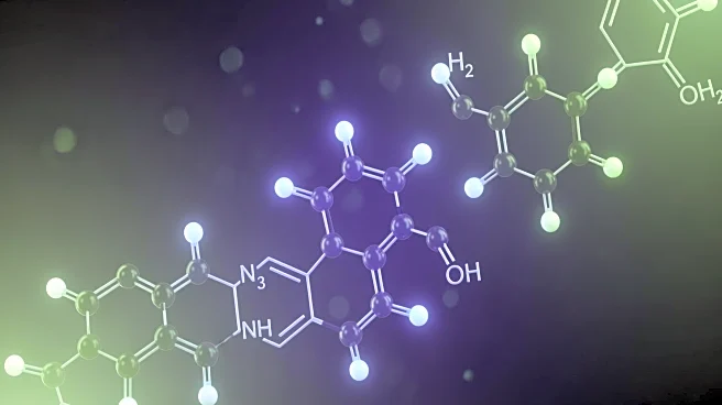 How Creatine Is Made in the Body—and Why It Fuels Muscle Energy