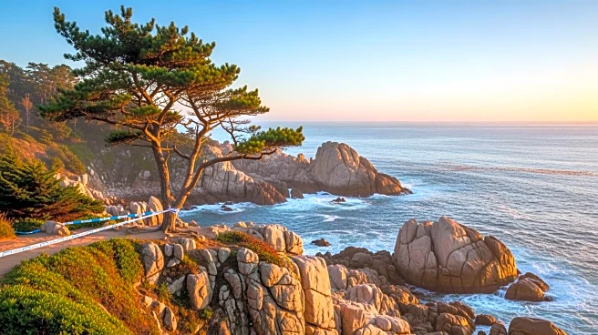 Why Acadia National Park Stands Out: Mountains, Coastlines, and Iconic Views