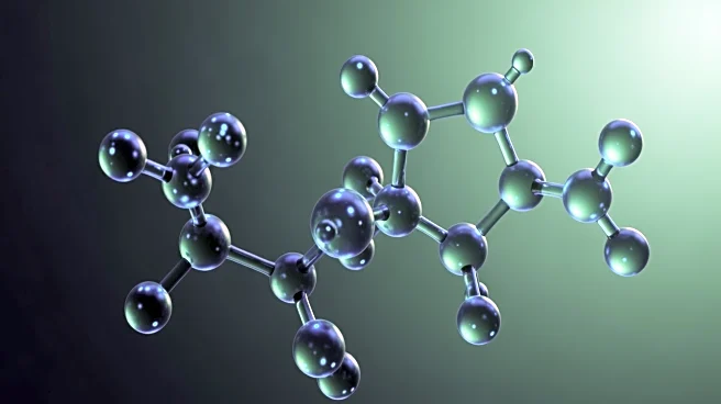 Why Vitamin B6 Is a Metabolic Workhorse for Amino Acids, Blood Sugar, and Fats