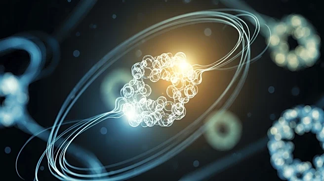 Inside Vitamin B6 Metabolism: How Pyridoxine Is Activated, Stored, and Used by the Body