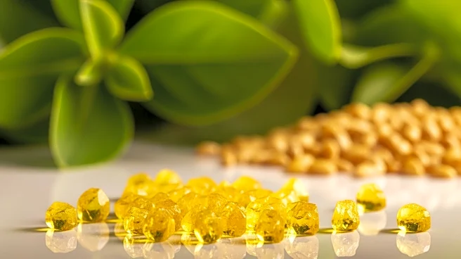 From Food to Fermentation: How Riboflavin Is Made Naturally and Industrially