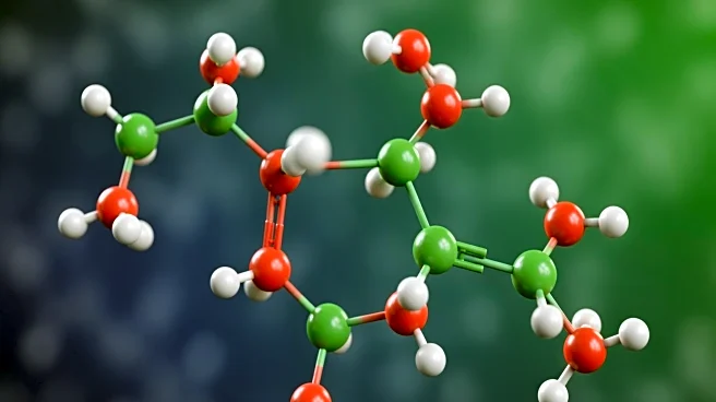 How Your Body Uses Choline to Stay Healthy