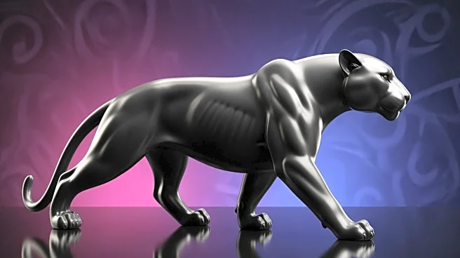 How Black Panther Changed the Superhero Genre Forever