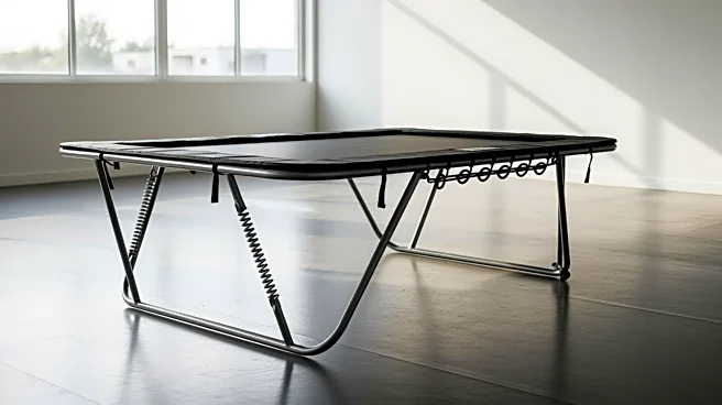 How Trampolines Became Both a Family Favorite and a Sport