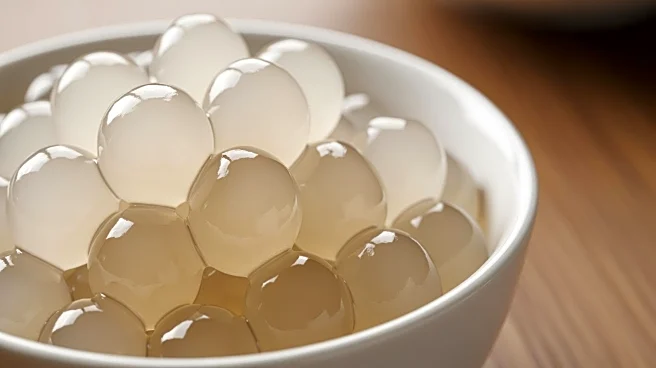 How Tiny Pearls Turn Drinks and Puddings Into a Treat