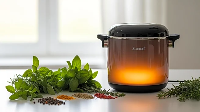 Why Thermal Cooking Saves Energy Without Sacrificing Flavor