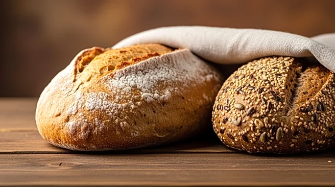 Bread: A Nutritional Staple and Its Varieties