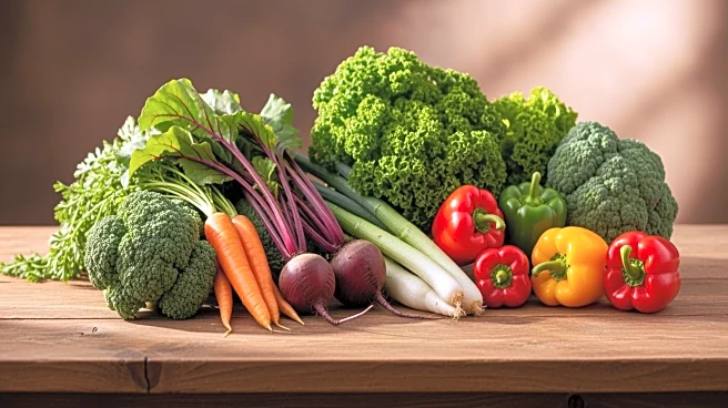 How Tomatoes and Avocados Conquered the World: The Global Trade Routes That Redefined Your Plate