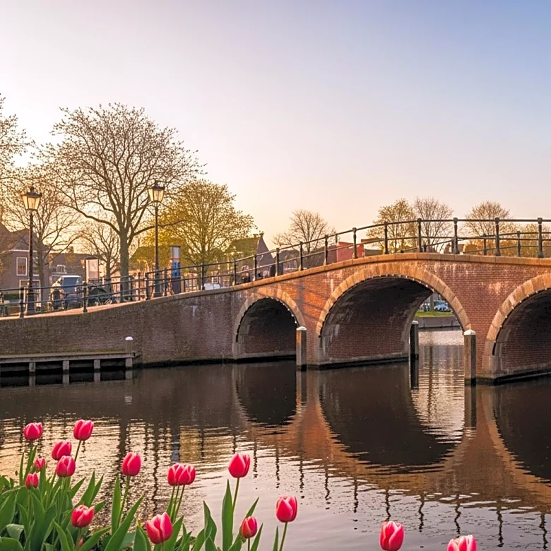 The High-Value Pivot: How the Netherlands is Trading Crowds for Revenue