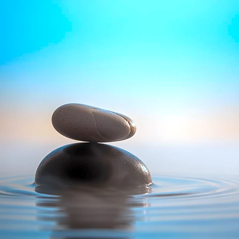 More Than Just Breathing: Understanding the Physiological Shift from Stress to Stillness