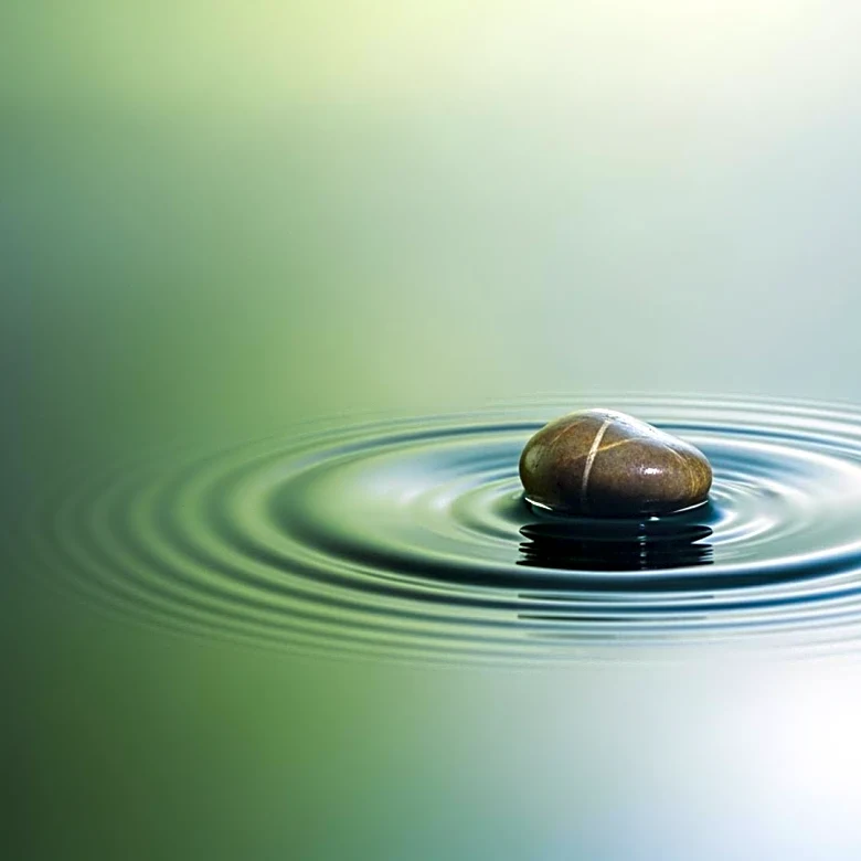 Boost Your Brain Power: How Regular Aerobic Exercise Creates Lasting Improvements in Memory and Focus