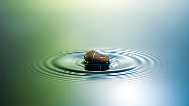 Boost Your Brain Power: How Regular Aerobic Exercise Creates Lasting Improvements in Memory and Focus