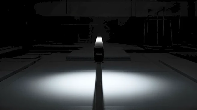 Build Elite Upper Body Power: How Handstands Strengthen Your Shoulders, Triceps, and Core