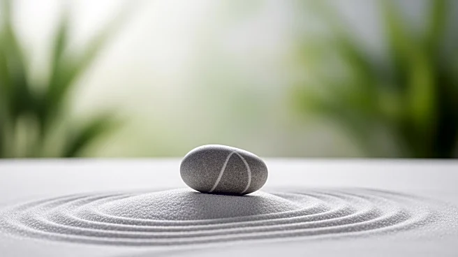 Stop Chronic Tension Now: Learn How Progressive Muscle Relaxation and Autogenic Training Can Reset Your Stress Response