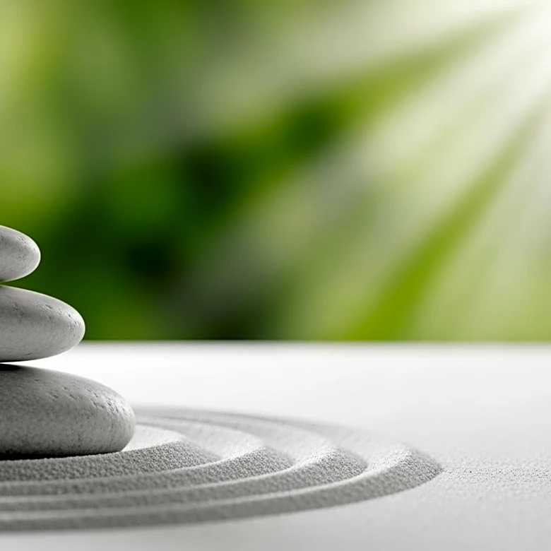 Present Moment, Future Health: The Science of Using Mindfulness to Master Emotional Regulation and Stress