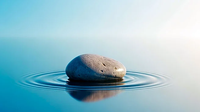 The Norwegian Secret to Stress: Why Acem Meditation Rejects Focus to Achieve Deep Relaxation