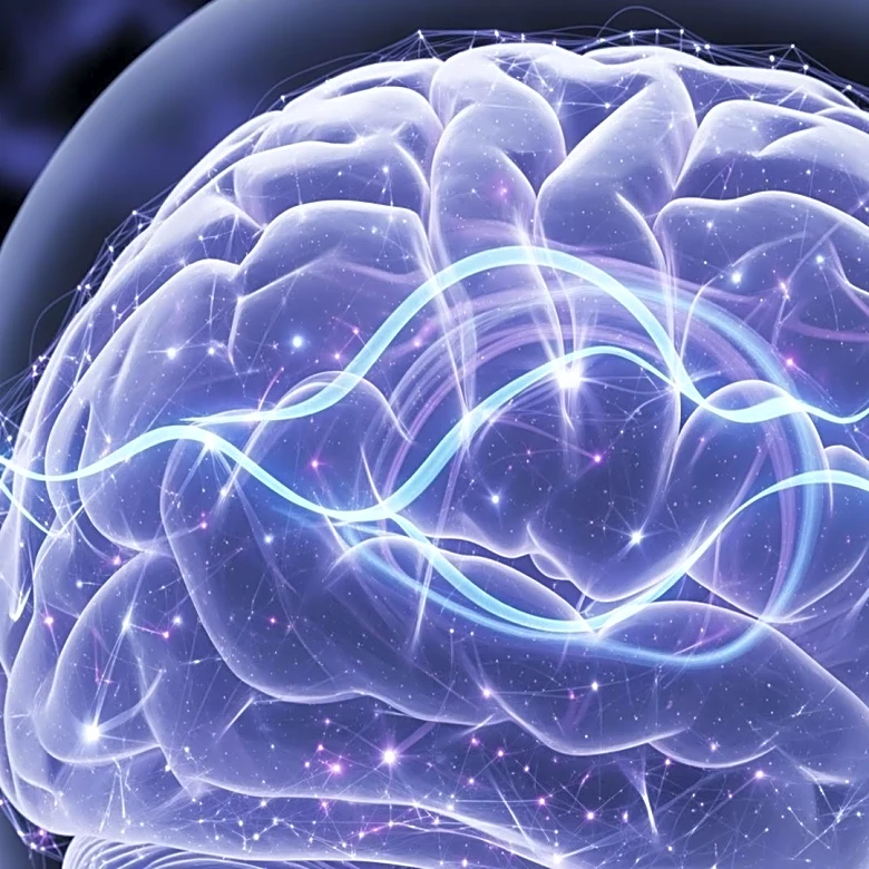 Inside the Brain: The Neuroscience Behind Everyday Choices