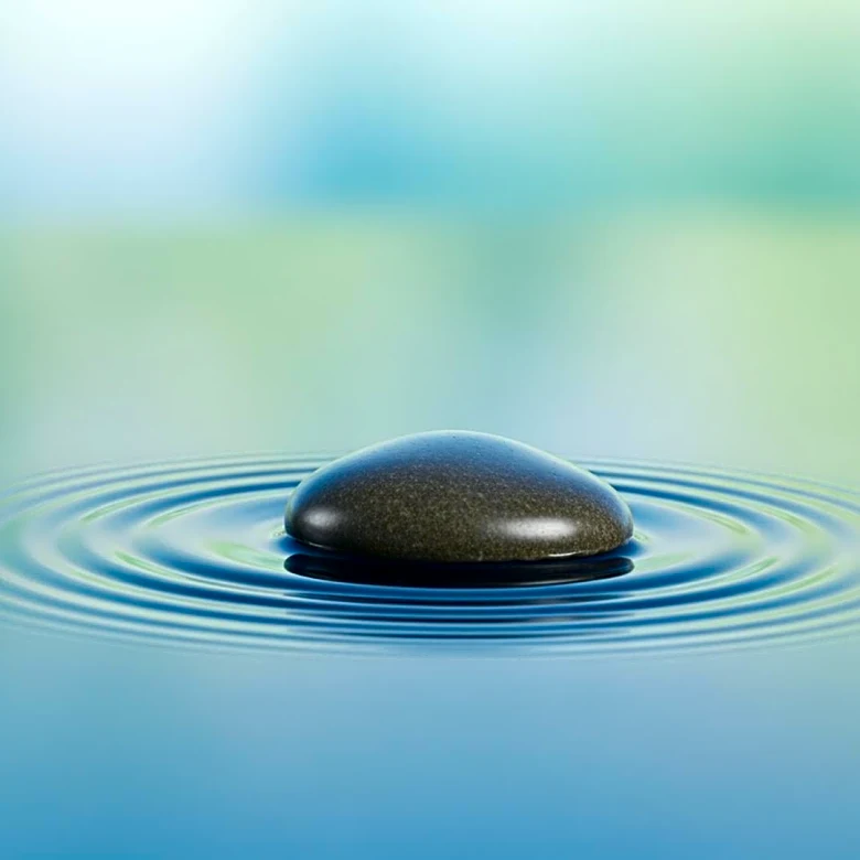 Master the Uncontrollable: How Emotion-Focused Coping Reduces Distress When You Can’t Change the Situation