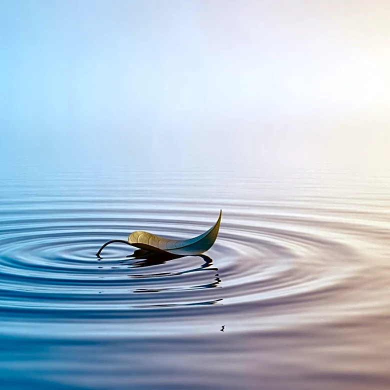 Ways Emotion-Focused Coping Shapes Your Psychological Resilience