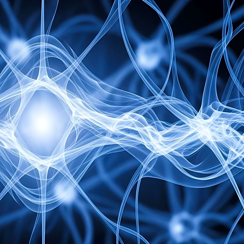 It’s More Than Just a Thought: Understanding the Neural Overlap of Perception and Imagination